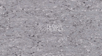 Линолеум Gerflor Mipolam Accord 0330 KRUGER фото 1 | FLOORDEALER